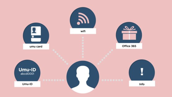 Film: IT Services